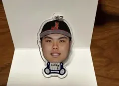 平良海馬　侍ジャパン　シークレットアンブレラマーカー