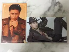 キャッテリア ハーフブロマイド パグ