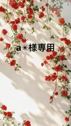 a✴︎様今日発送