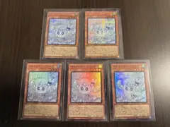 マルチャミー・フワロス　5枚セット