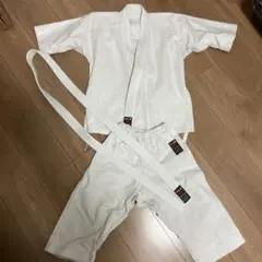 Item thumbnail for item 1136efd0-4543-46a6-901c-335791ef327f