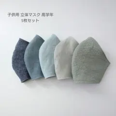 子供用 高学年 立体マスク 5枚セット 男の子☆シンプル 無地 グリーン ブルー