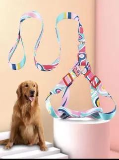 新品　ハーネス　リード　セット　M 小型犬
