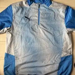 Puma ハーフジップ ピステ ウェア