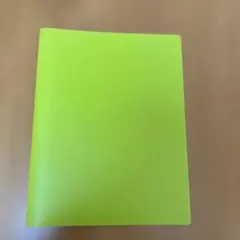 Item thumbnail for item 2eaee4ec-649f-45cd-ad38-2ca78b679001