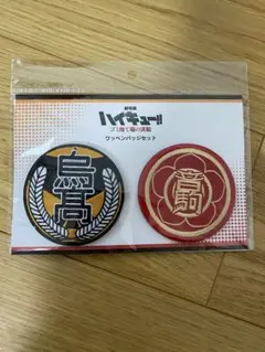 劇場版ハイキュー!! ゴミ捨て場の決戦 ワッペンバッジセット