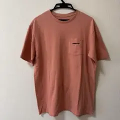 patagonia 半袖Tシャツ　夏物SALE Mサイズ