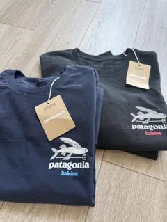 patagonia Tシャツ 2枚セット ハレイワのサムネイル