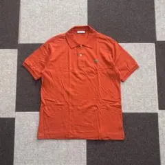 ✨激レア】 LACOSTE ラコステ ボーダーポロシャツ 5 ワニ刺繍 - メルカリ