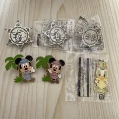 東京ディズニーリゾート35周年ピンバッジ＋ディズニーランド限定