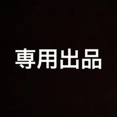 専用出品
