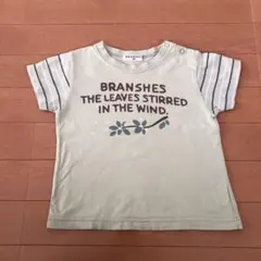 Item thumbnail for item 1e145f35-129a-45b8-b025-91bb4a2f37eb