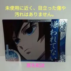 鬼滅の刃　名言ポスター　冨岡義勇　「俺は嫌われてない」
