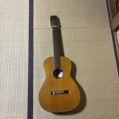 小振りボディ】 Seagull GRAND カラッとしたビンテージライクな鳴り