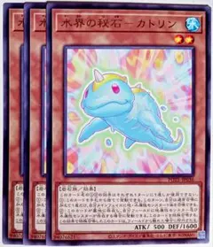 紅犬様 リクエスト 6点 まとめ商品