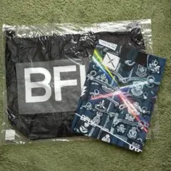 おまけ付✳BUMP OF CHICKEN✳ＢＦＬＹ✳グッズセット