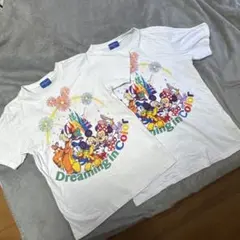 東京ディズニーリゾート Dreaming in Color Tシャツ S & L