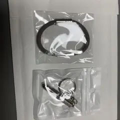 Item thumbnail for item 5b6addb9-55a4-4f6e-9a53-48668e93038a