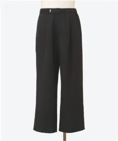 新品】グラフペーパー FWide Straight Pants サイズ2 - メルカリ
