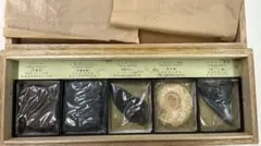 示準化石模型 5種セット 三葉虫 羊歯植物 床板さんご アンモナイトサメの歯のサムネイル