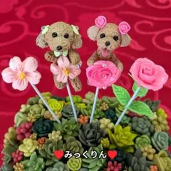 ♥キラキラ✨️可愛い♥ひまわり&すいか&朝顔トイプードルちゃん