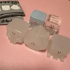 ナタデココンチョス コンプリートセット 5種