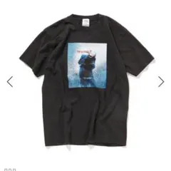 Item thumbnail for item fd13da64-e78c-4931-95a4-15898293b9cf