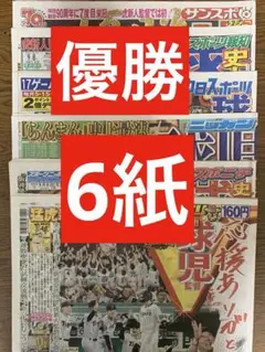 阪神タイガース　リーグ優勝　スポーツ新聞　6紙　まるごと　新品　そのまま
