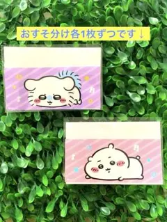 ちいかわ　マイナンバーカード　ケース