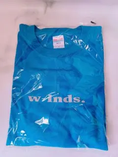 s*2様 w-inds. GOLDEN SINGLES 色違いTシャツ ブルー s*2様 w-inds. GOLDEN SINGLES 色違いTシャツ ブルー - メルカリ