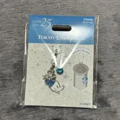東京ディズニーシー 25周年 ドナルド チャーム ②
