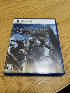 PS5 モンハンワイルズ