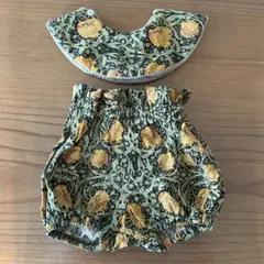 ウィリアムモリス　ピンパーネル　オレンジ　スタイ＆パンツ