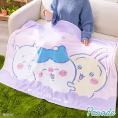全2種セット　ちいかわ超BIGマイヤーブランケット