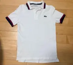 LACOSTE ラコステ ポロシャツ