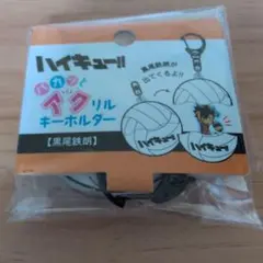 ハイキュー！！　 パカッとアクリルキーホルダー　黒尾鉄朗