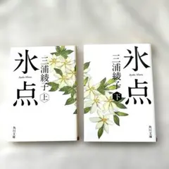 氷点 上下巻セット