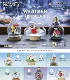 SNOOPY WEATHER terrariumのサムネイル