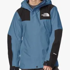 ザノースフェイスマウンテンジャケット メンズ ゴアテックスSサイズ