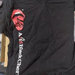 2026年最新】Acid Black cherry ロゴの人気アイテム - メルカリ