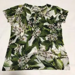 4-1 Dolce & Gabbanaドルガバ Tシャツ 9/10のサムネイル