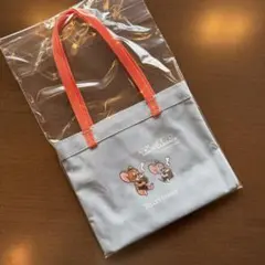 Item thumbnail for item 79d24f6b-4082-4a71-ae23-8a60b27cf328