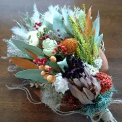 バ~ビ~様専用　プロテアニオベと春待ちミモザのスワッグ　49cm [715]