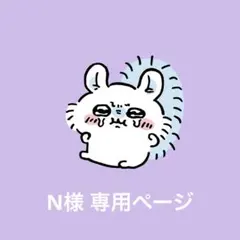 N様専用ページ
