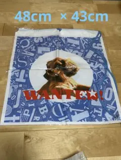 Item thumbnail for item f81f1489-f674-4437-8b59-b7e31d676396