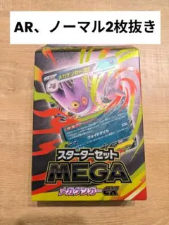 ポケモンカード　srまとめ　25枚セット 最終値 値下げ不可 ピカチュウ&ゼクロムgx sr 昔のポケモン