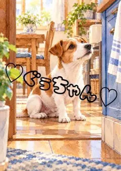 《一点限り》キッチンの入口で見上げるジャックラッセルテリア