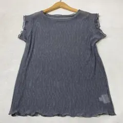 美品 willfully シワ加工 プリーツ 楊柳 半袖 シアー トップスのサムネイル