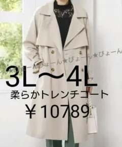 大きいサイズ3L〜4L★1点限り