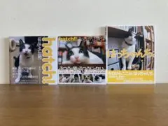 Item thumbnail for item 148ff793-8e18-44f7-b75c-b6bf436304fa